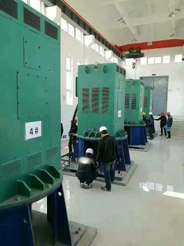 Y560-8某污水处理厂使用我厂的立式高压电机安装现场生产厂家