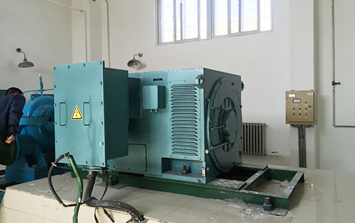 Y560-8某水电站工程主水泵使用我公司高压电机