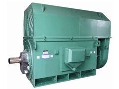 Y560-8Y系列6KV高压电机